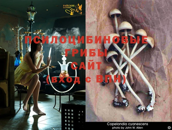 прущие крисы Волоколамск