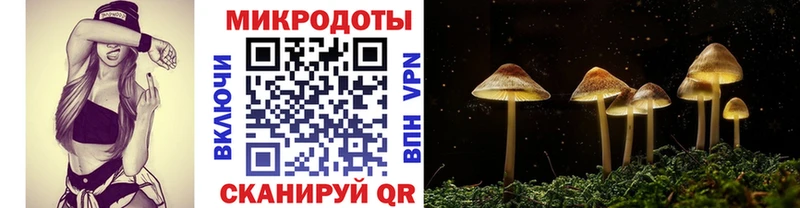 Псилоцибиновые грибы мухоморы Глазов